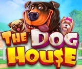 The Doghouse